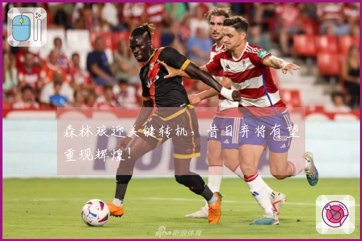 森林狼迎关键转机，昔日弃将有望重现辉煌！