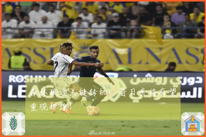 森林狼迎关键转机，昔日弃将有望重现辉煌！