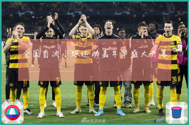 全国首次小球运动嘉年华盛大开幕